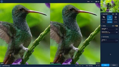 Topaz Sharpen AI 2021 v3.2.2 Full Version for Windows