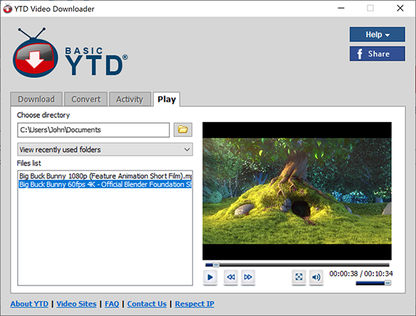 YTD Video Downloader Pro (2020) v5.9 Full Version Windows