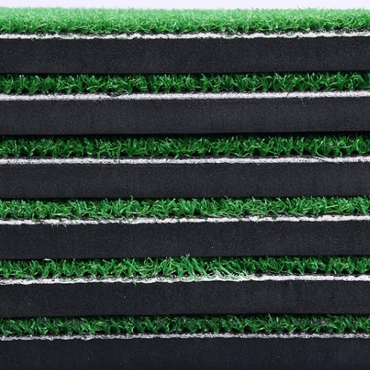 PGM Indoor Swing Practice Mat Golf Mats Mini Golf Supplies, 30 x 60cm Normal Edition + TEE, 30x60cm+TEE