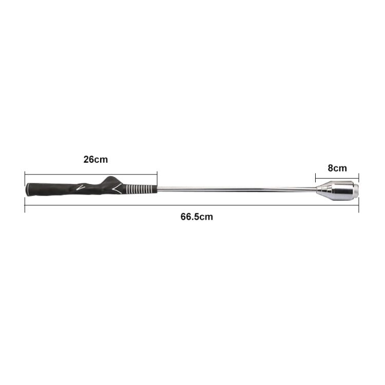 PGM Golf Stainless Steel Swing Trainer Auxiliary Trainer, HGB001